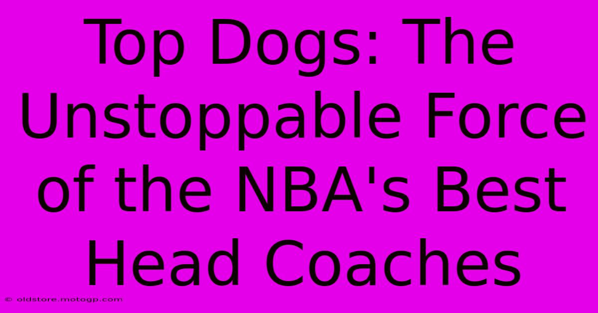 Top Dogs: The Unstoppable Force Of The NBA's Best Head Coaches