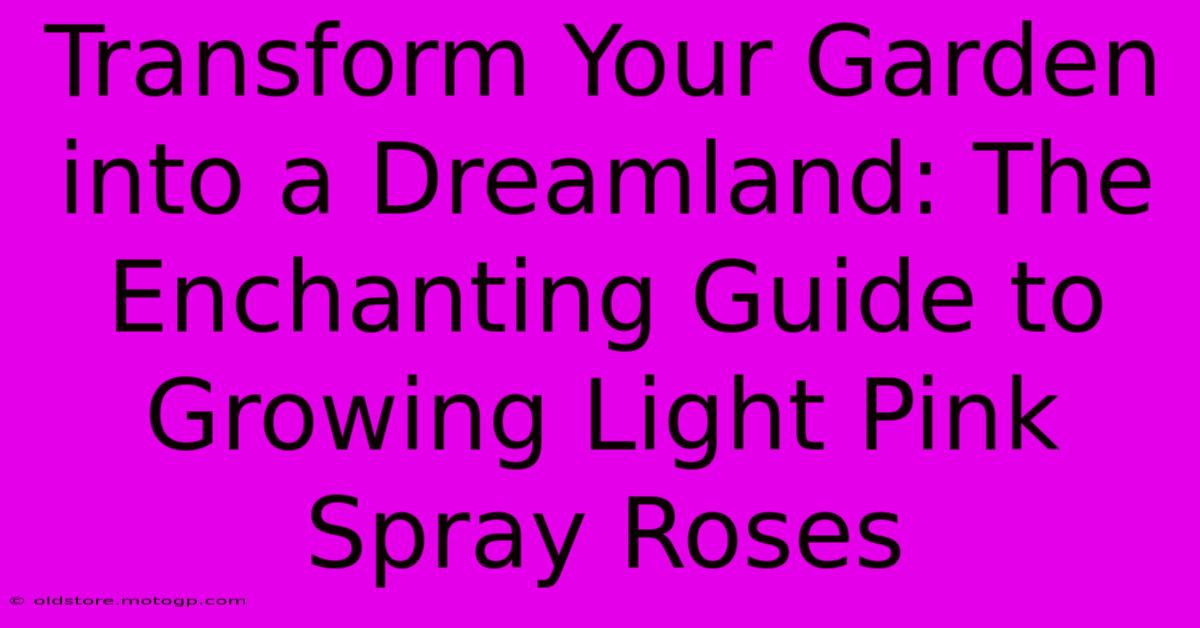 Transform Your Garden Into A Dreamland: The Enchanting Guide To Growing Light Pink Spray Roses