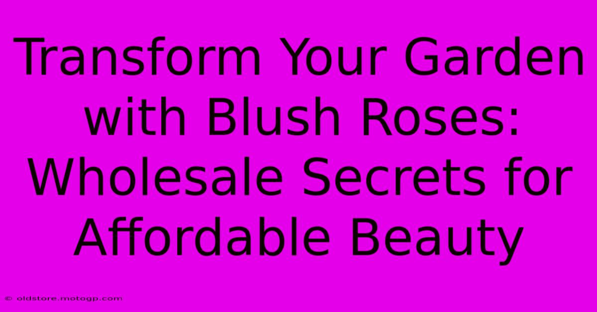 Transform Your Garden With Blush Roses: Wholesale Secrets For Affordable Beauty