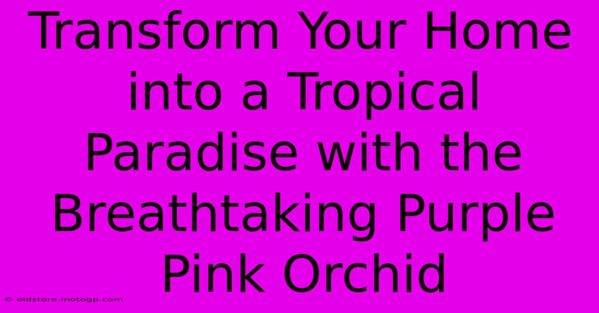 Transform Your Home Into A Tropical Paradise With The Breathtaking Purple Pink Orchid