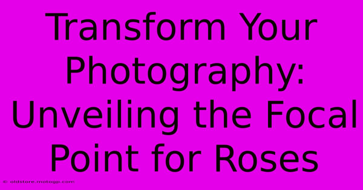 Transform Your Photography: Unveiling The Focal Point For Roses