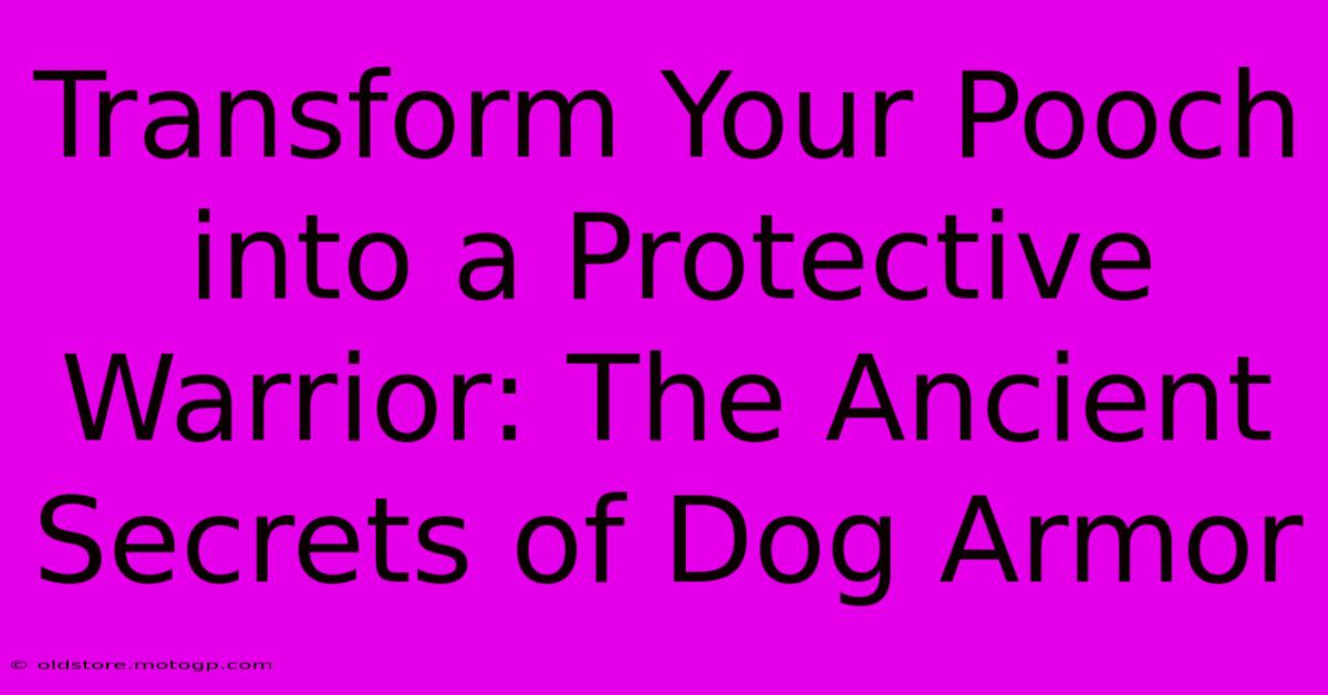 Transform Your Pooch Into A Protective Warrior: The Ancient Secrets Of Dog Armor