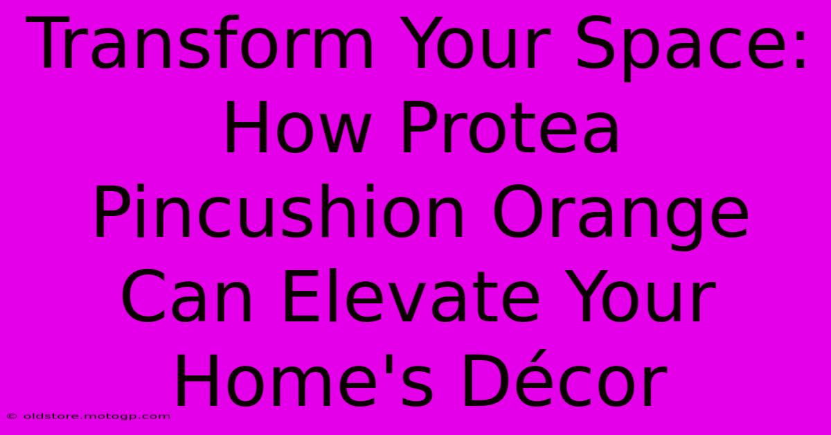 Transform Your Space: How Protea Pincushion Orange Can Elevate Your Home's Décor