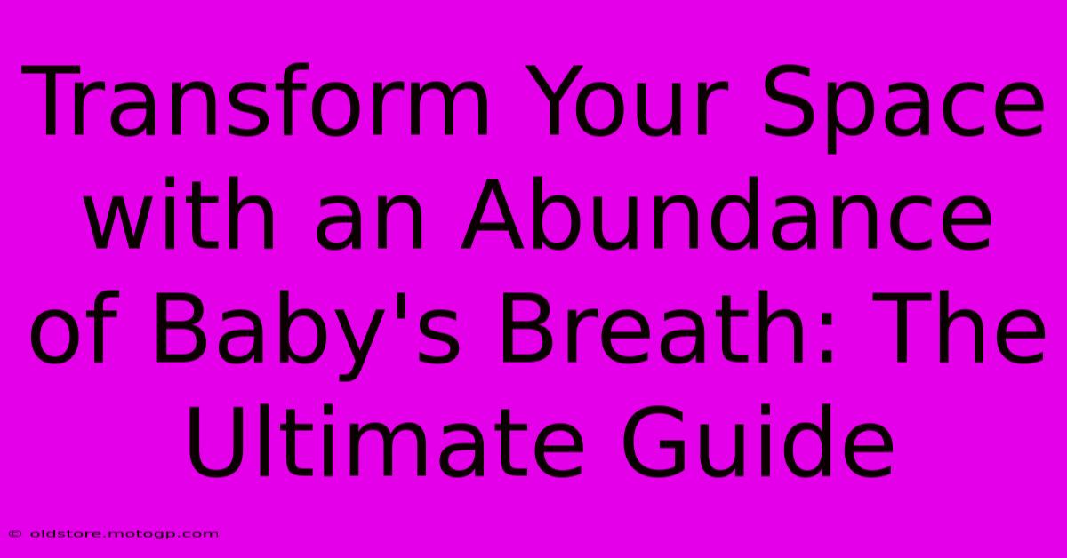 Transform Your Space With An Abundance Of Baby's Breath: The Ultimate Guide