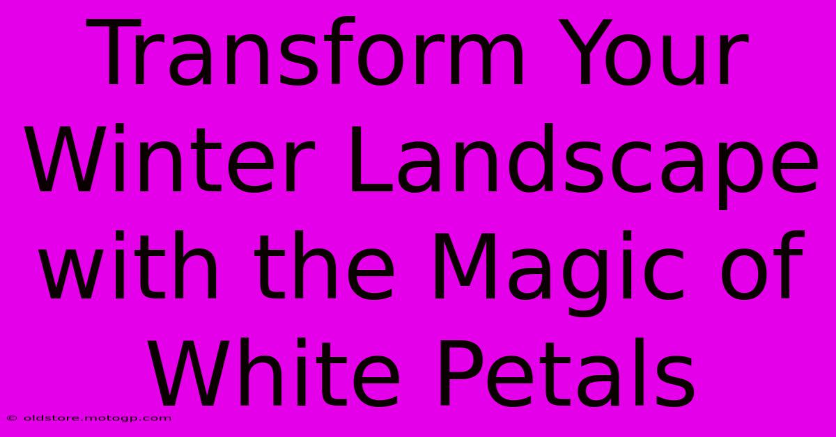 Transform Your Winter Landscape With The Magic Of White Petals