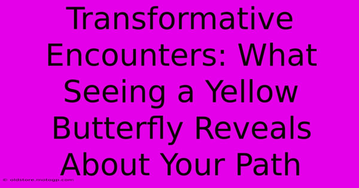 Transformative Encounters: What Seeing A Yellow Butterfly Reveals About Your Path