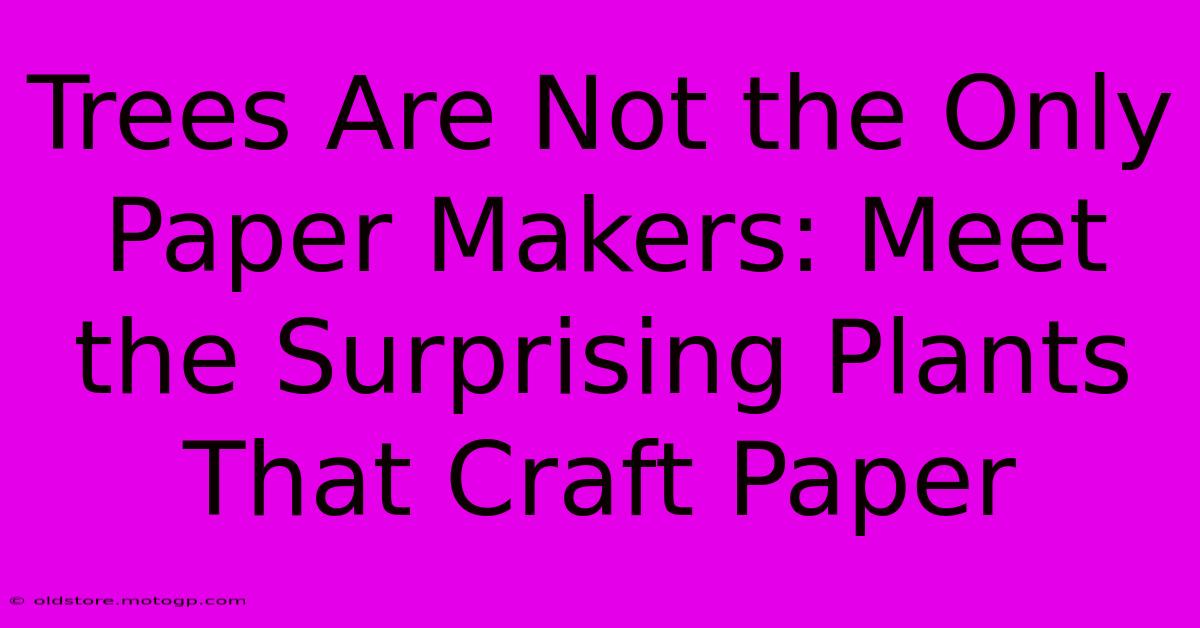 Trees Are Not The Only Paper Makers: Meet The Surprising Plants That Craft Paper