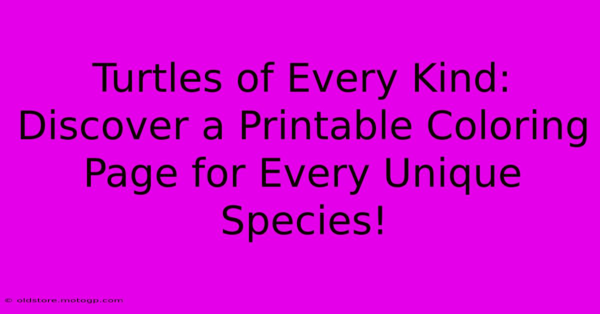 Turtles Of Every Kind: Discover A Printable Coloring Page For Every Unique Species!