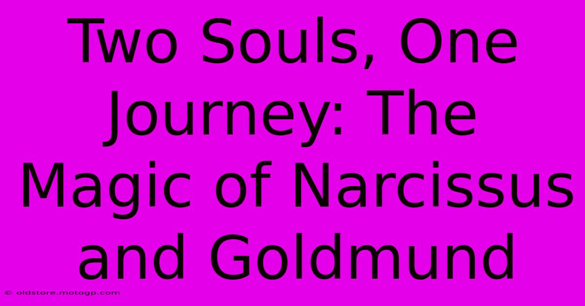 Two Souls, One Journey: The Magic Of Narcissus And Goldmund