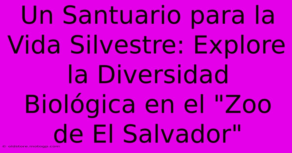 Un Santuario Para La Vida Silvestre: Explore La Diversidad Biológica En El 