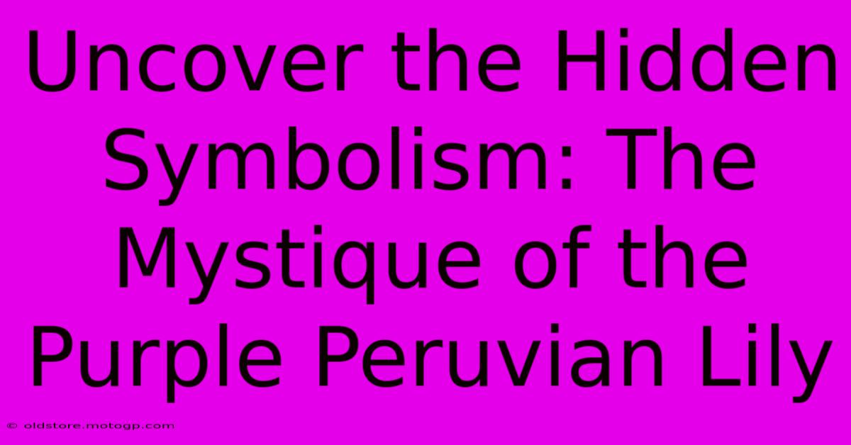 Uncover The Hidden Symbolism: The Mystique Of The Purple Peruvian Lily