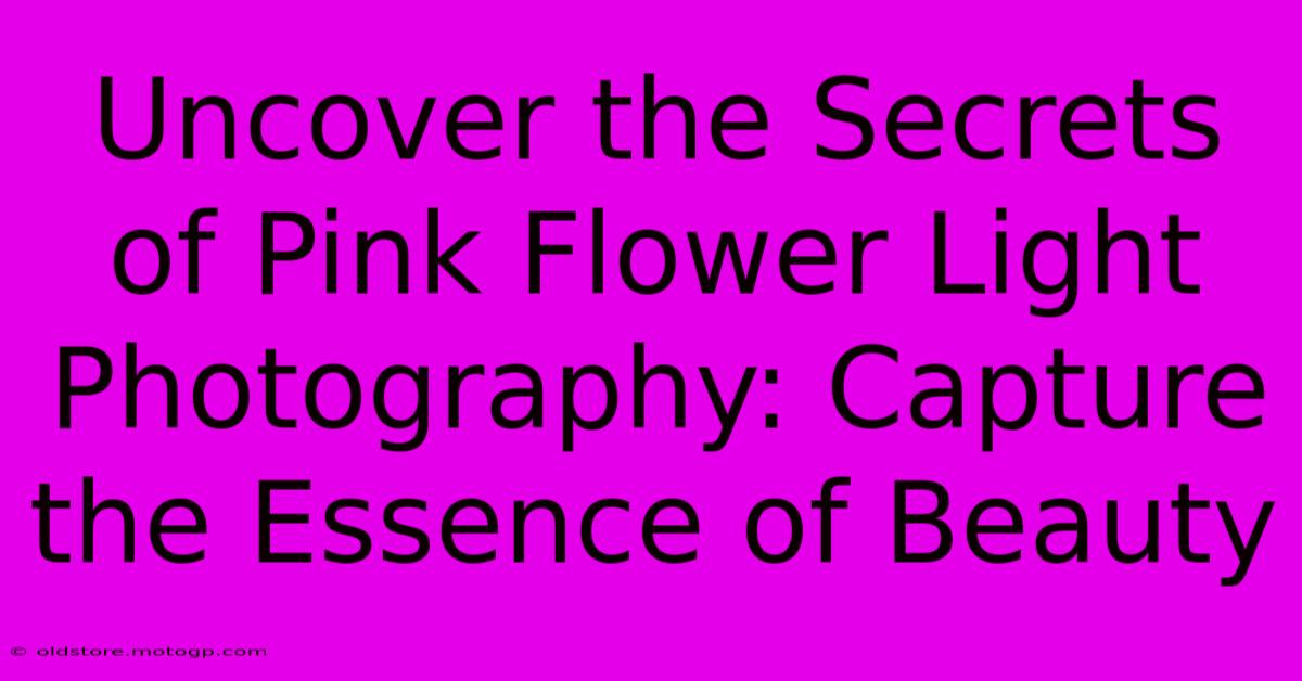 Uncover The Secrets Of Pink Flower Light Photography: Capture The Essence Of Beauty