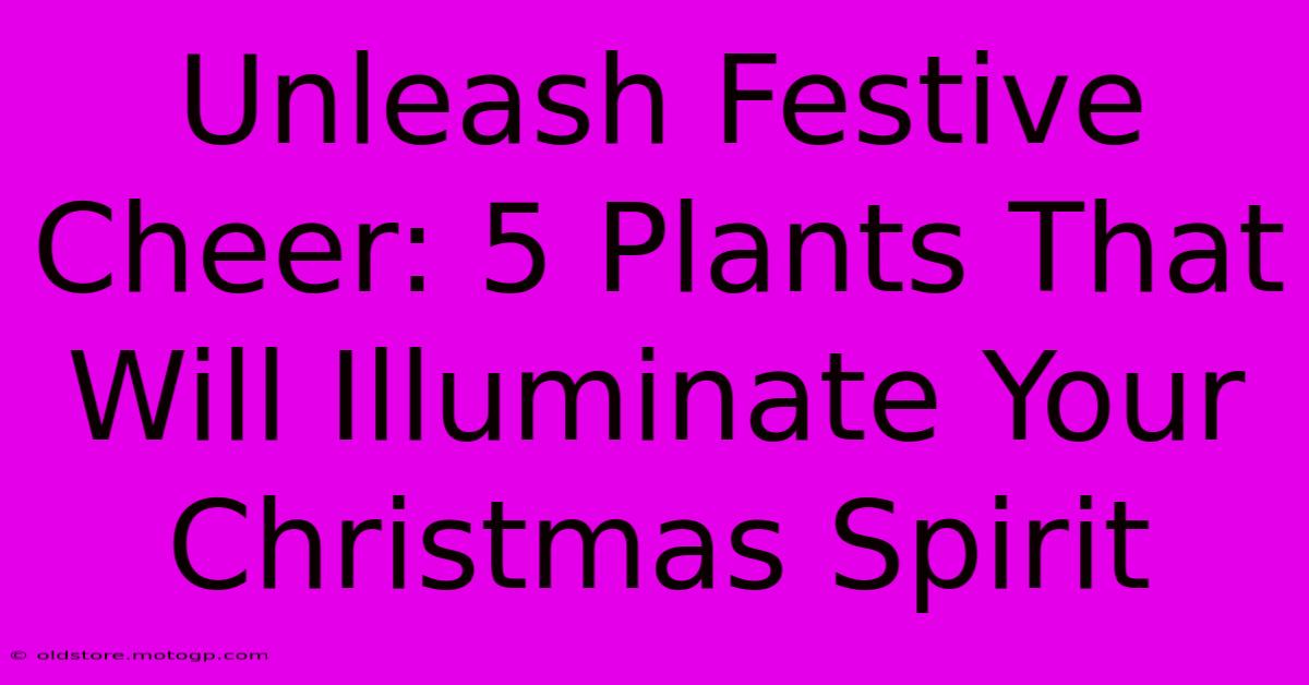 Unleash Festive Cheer: 5 Plants That Will Illuminate Your Christmas Spirit