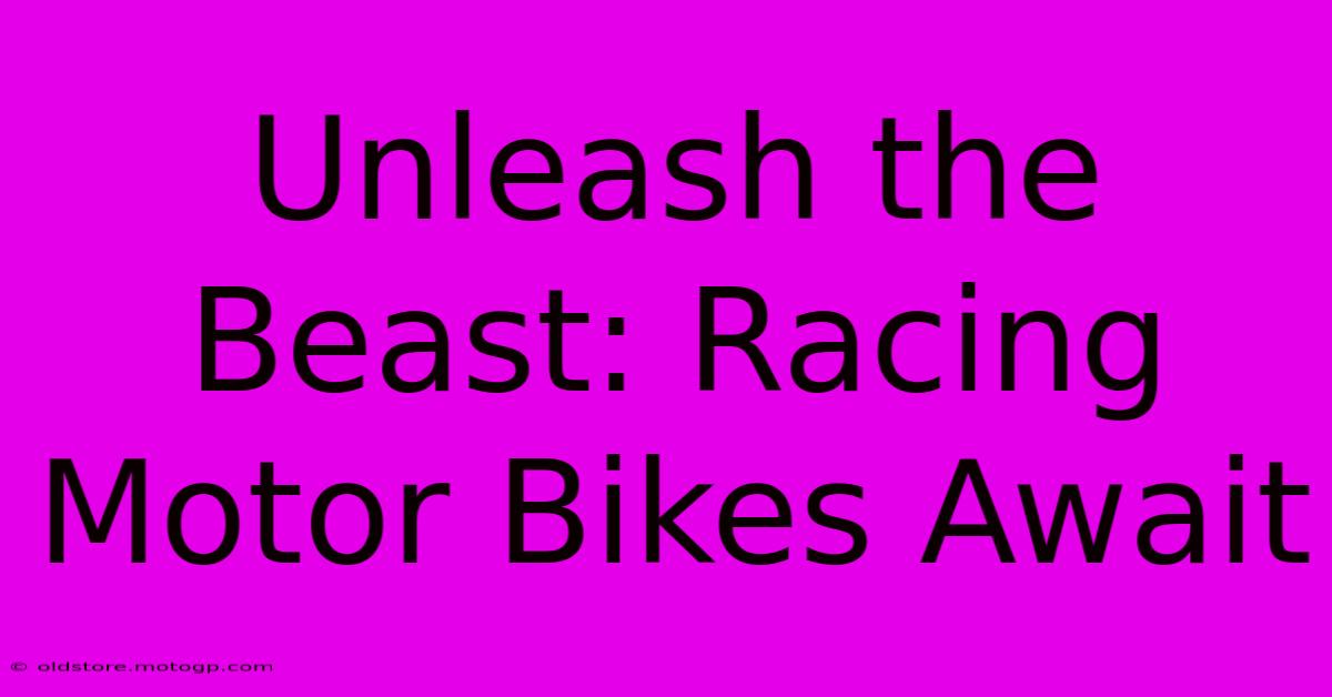 Unleash The Beast: Racing Motor Bikes Await