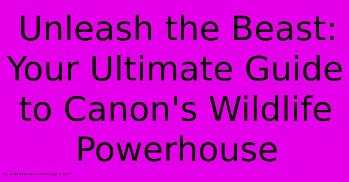 Unleash The Beast: Your Ultimate Guide To Canon's Wildlife Powerhouse