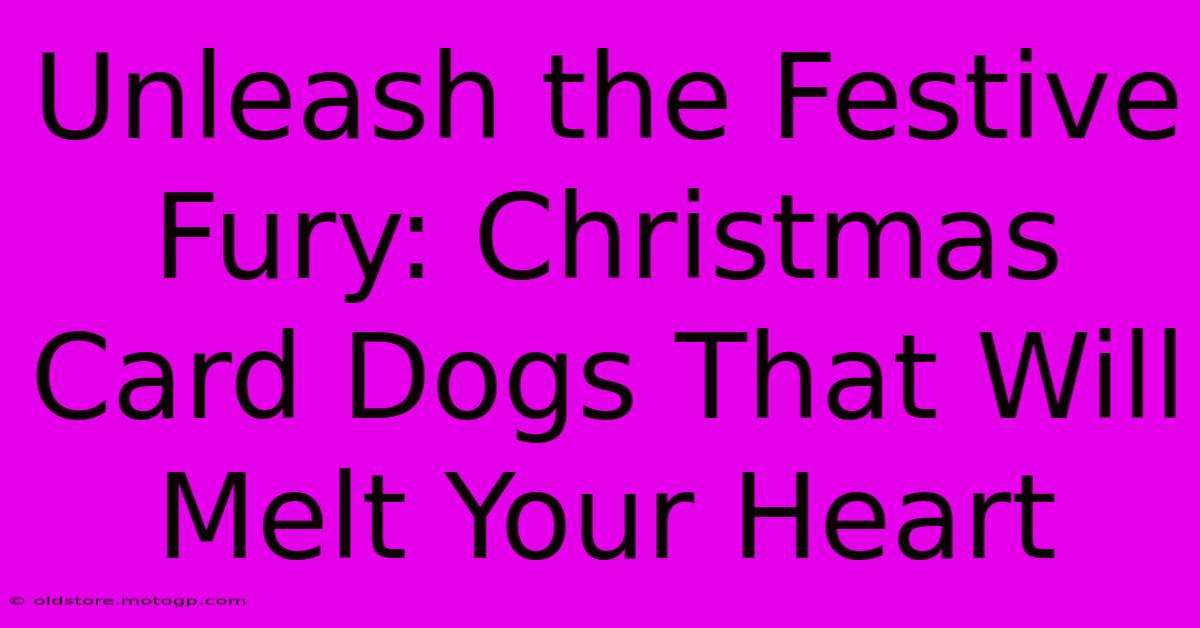 Unleash The Festive Fury: Christmas Card Dogs That Will Melt Your Heart