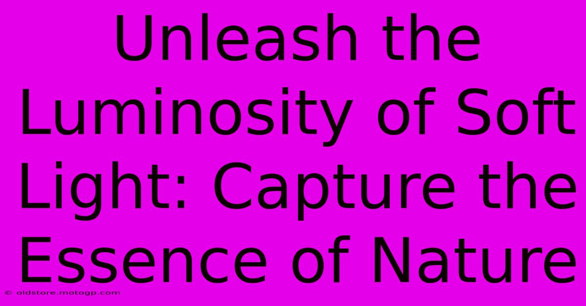 Unleash The Luminosity Of Soft Light: Capture The Essence Of Nature