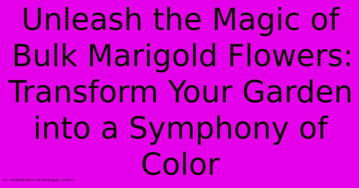 Unleash The Magic Of Bulk Marigold Flowers: Transform Your Garden Into A Symphony Of Color