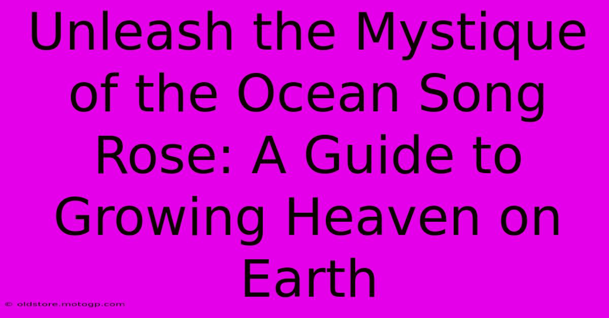 Unleash The Mystique Of The Ocean Song Rose: A Guide To Growing Heaven On Earth