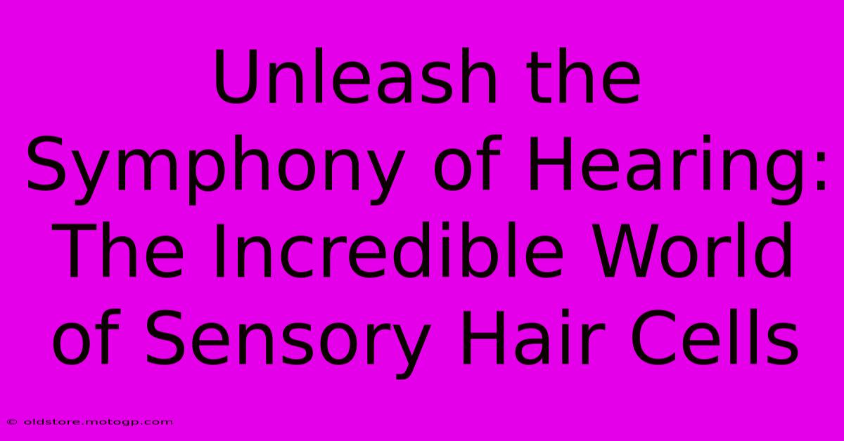 Unleash The Symphony Of Hearing: The Incredible World Of Sensory Hair Cells