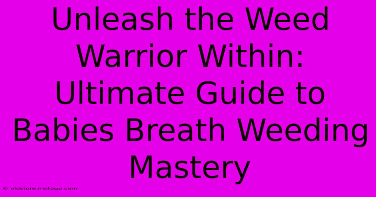 Unleash The Weed Warrior Within: Ultimate Guide To Babies Breath Weeding Mastery