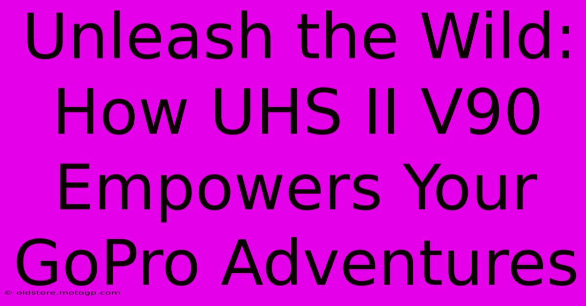 Unleash The Wild: How UHS II V90 Empowers Your GoPro Adventures