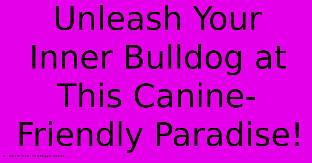 Unleash Your Inner Bulldog At This Canine-Friendly Paradise!