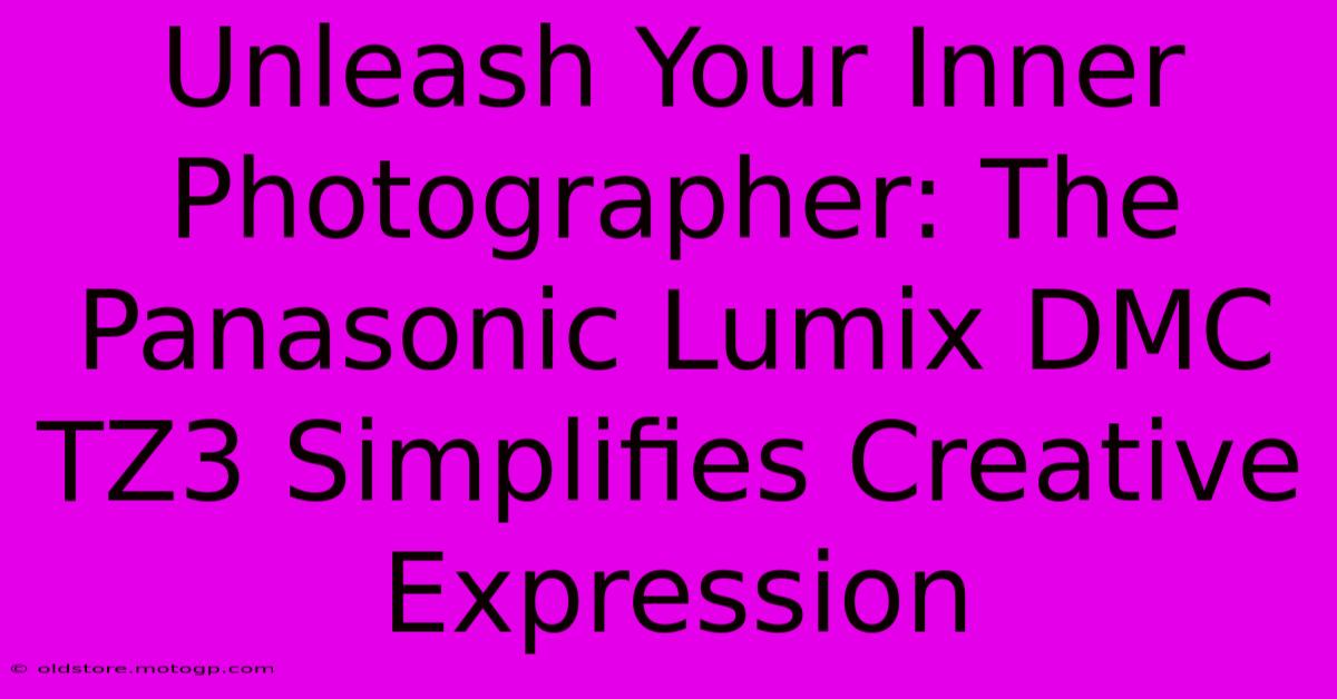 Unleash Your Inner Photographer: The Panasonic Lumix DMC TZ3 Simplifies Creative Expression