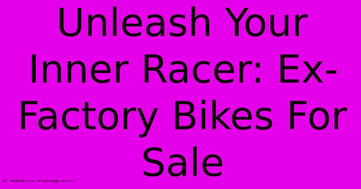 Unleash Your Inner Racer: Ex-Factory Bikes For Sale