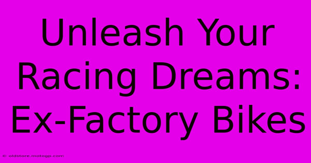 Unleash Your Racing Dreams: Ex-Factory Bikes