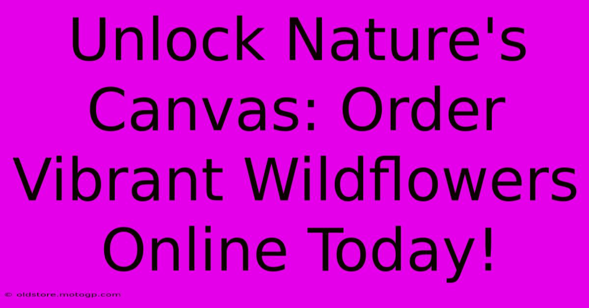 Unlock Nature's Canvas: Order Vibrant Wildflowers Online Today!