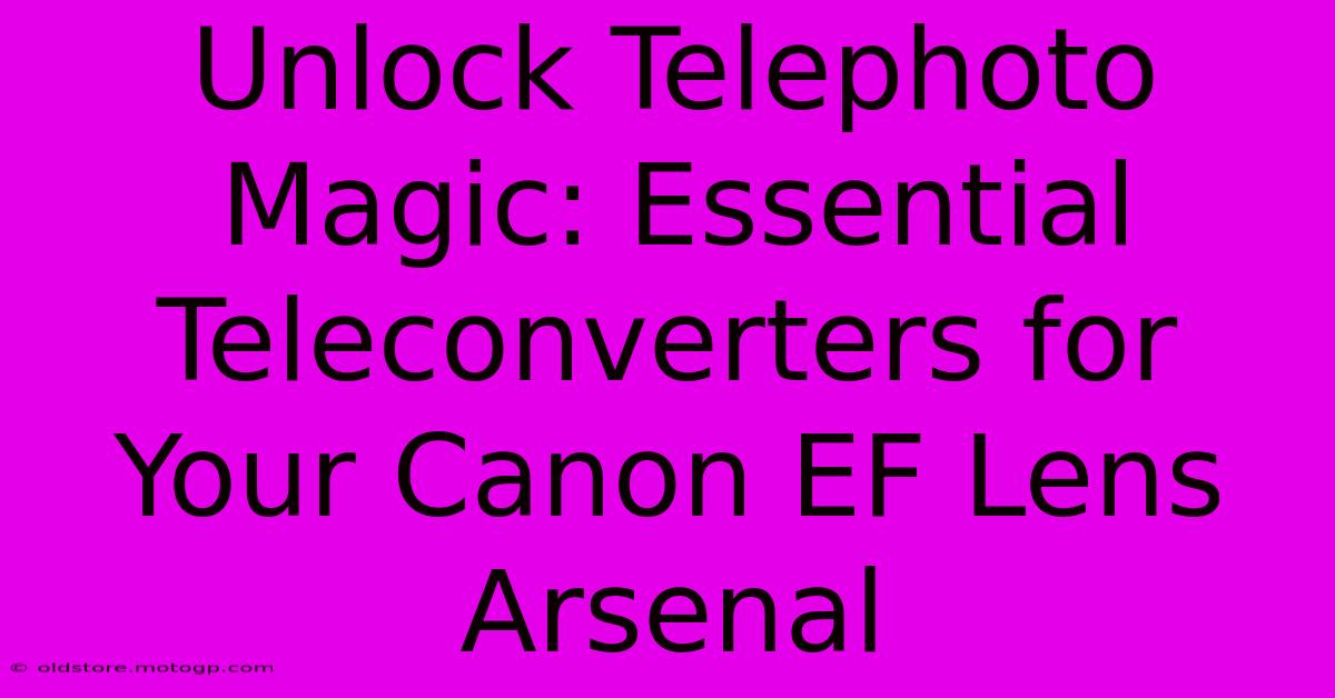 Unlock Telephoto Magic: Essential Teleconverters For Your Canon EF Lens Arsenal