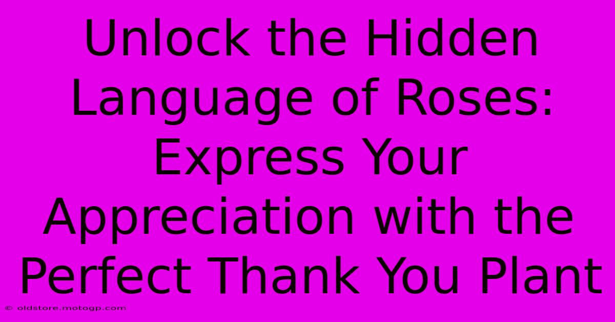 Unlock The Hidden Language Of Roses: Express Your Appreciation With The Perfect Thank You Plant