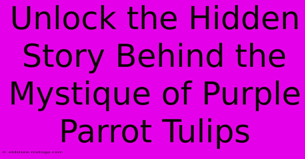 Unlock The Hidden Story Behind The Mystique Of Purple Parrot Tulips