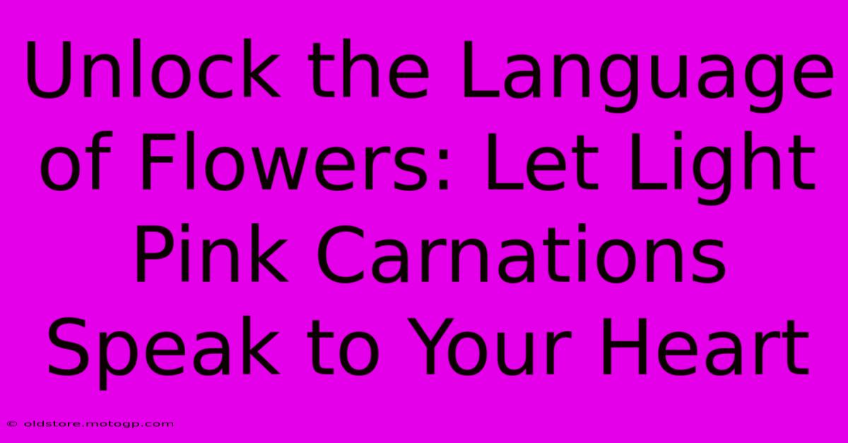 Unlock The Language Of Flowers: Let Light Pink Carnations Speak To Your Heart