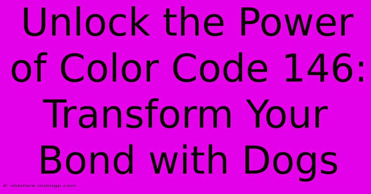 Unlock The Power Of Color Code 146: Transform Your Bond With Dogs