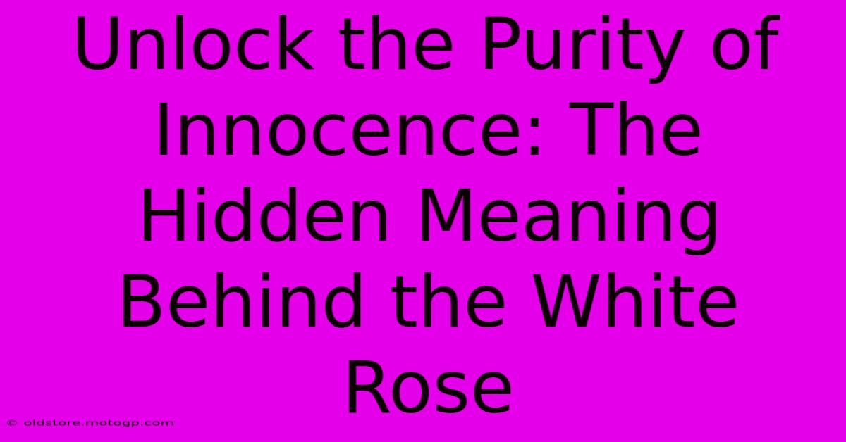 Unlock The Purity Of Innocence: The Hidden Meaning Behind The White Rose