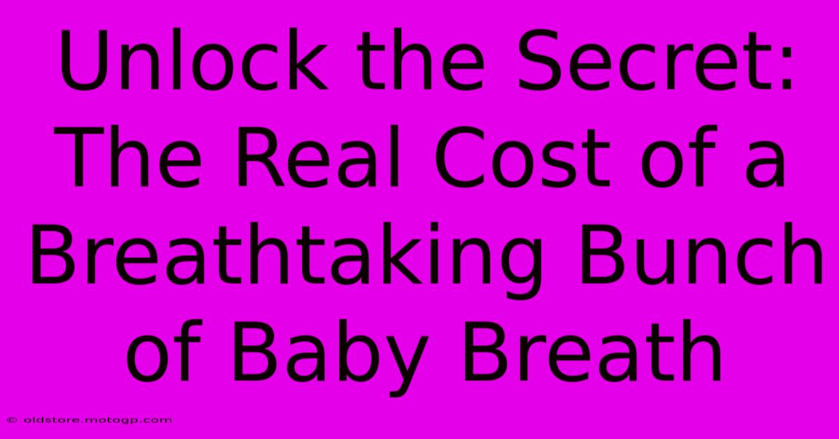 Unlock The Secret: The Real Cost Of A Breathtaking Bunch Of Baby Breath