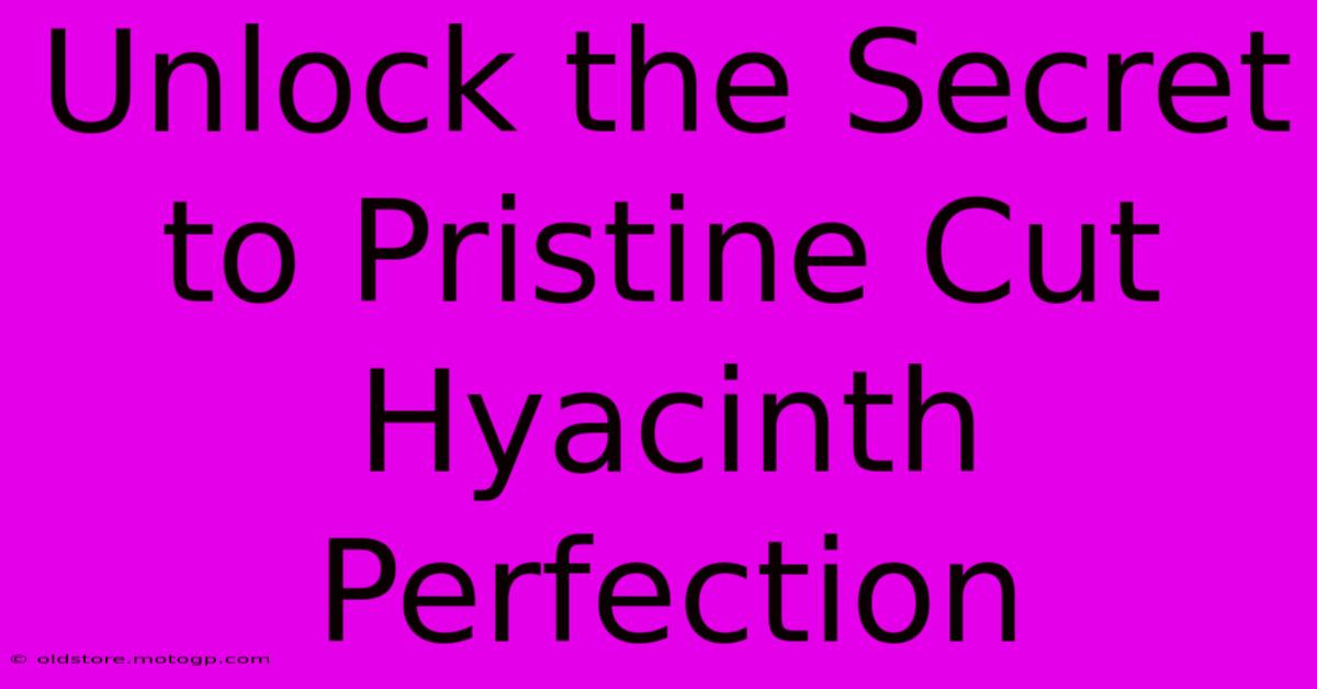 Unlock The Secret To Pristine Cut Hyacinth Perfection