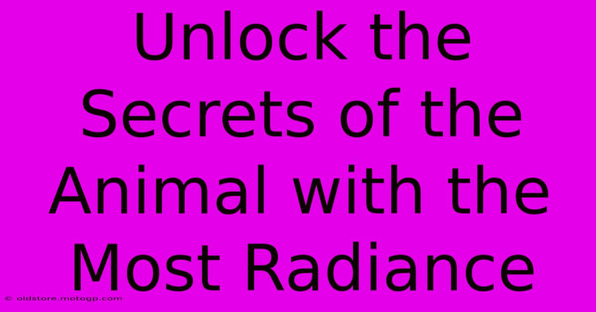 Unlock The Secrets Of The Animal With The Most Radiance