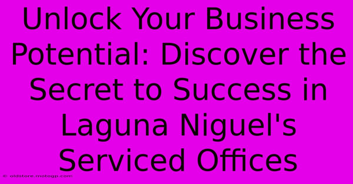 Unlock Your Business Potential: Discover The Secret To Success In Laguna Niguel's Serviced Offices