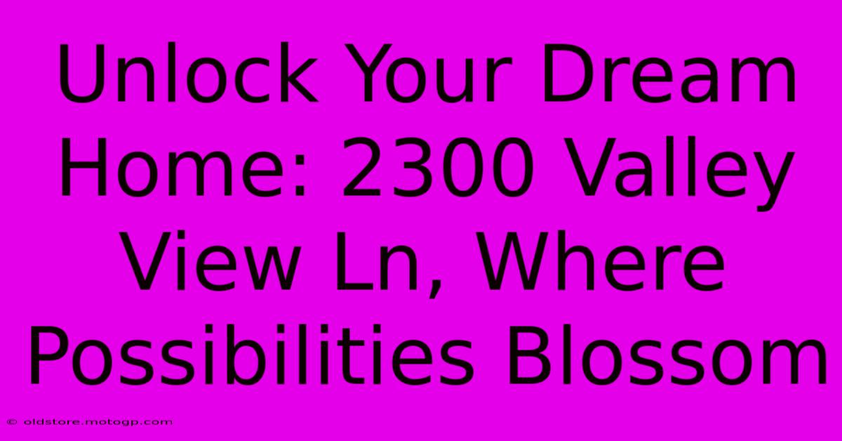 Unlock Your Dream Home: 2300 Valley View Ln, Where Possibilities Blossom