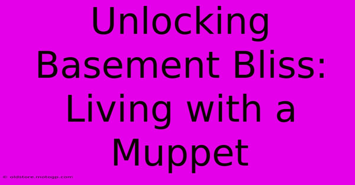 Unlocking Basement Bliss: Living With A Muppet