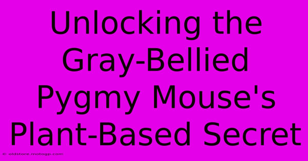 Unlocking The Gray-Bellied Pygmy Mouse's Plant-Based Secret