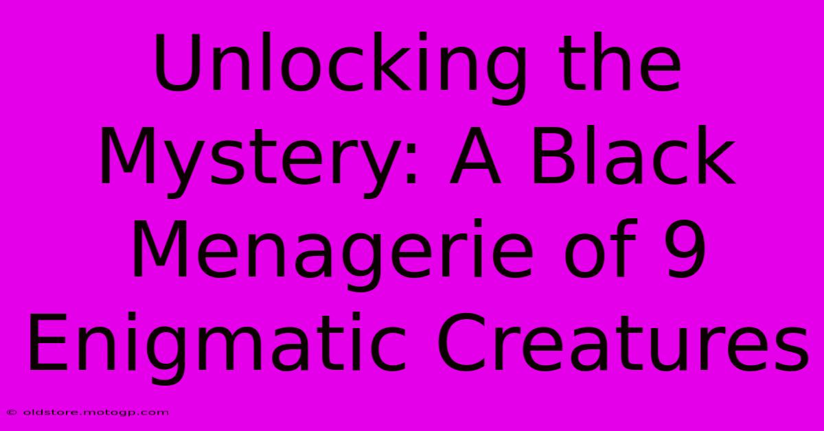 Unlocking The Mystery: A Black Menagerie Of 9 Enigmatic Creatures