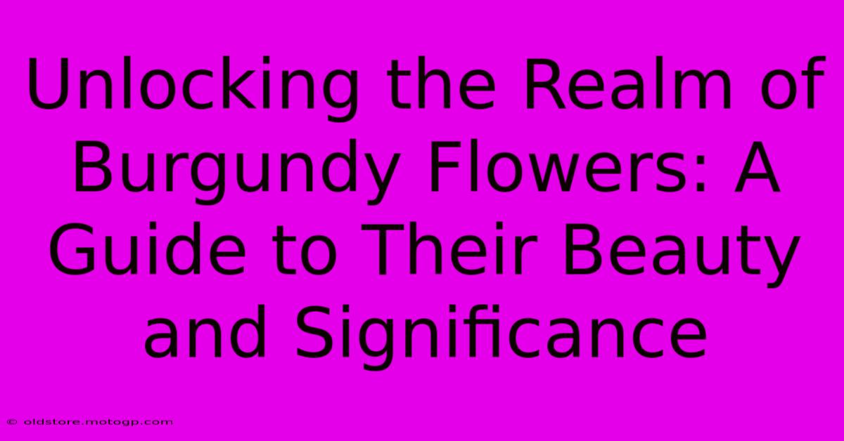 Unlocking The Realm Of Burgundy Flowers: A Guide To Their Beauty And Significance