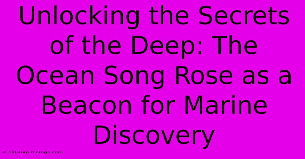 Unlocking The Secrets Of The Deep: The Ocean Song Rose As A Beacon For Marine Discovery