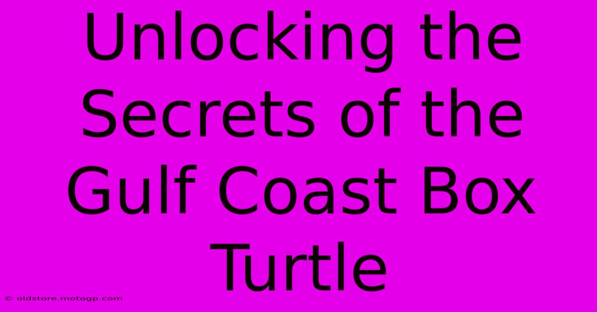 Unlocking The Secrets Of The Gulf Coast Box Turtle