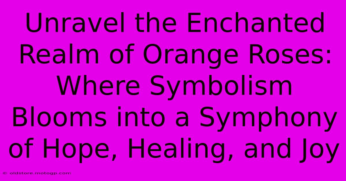 Unravel The Enchanted Realm Of Orange Roses: Where Symbolism Blooms Into A Symphony Of Hope, Healing, And Joy