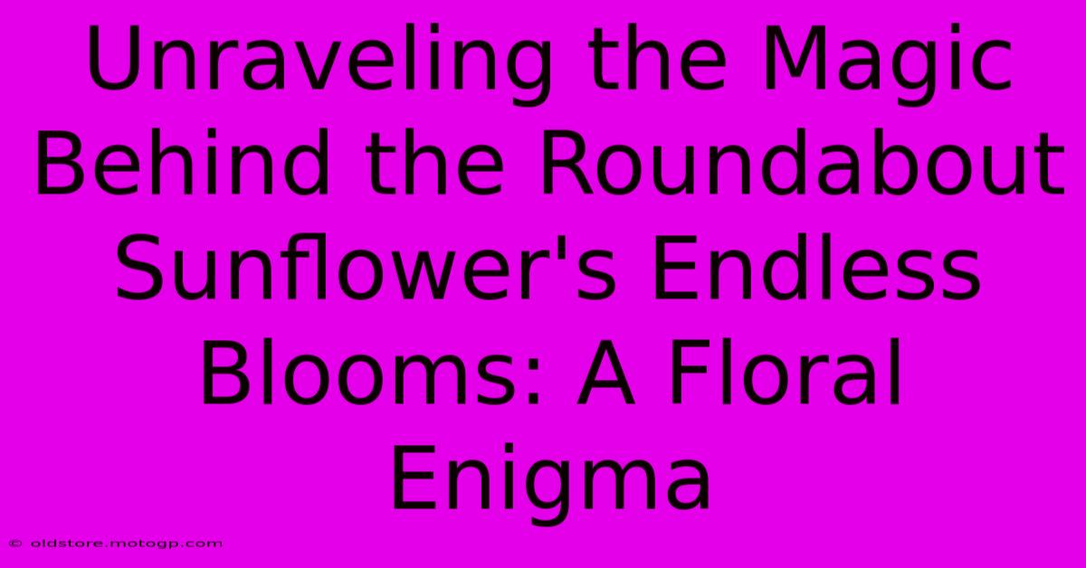 Unraveling The Magic Behind The Roundabout Sunflower's Endless Blooms: A Floral Enigma